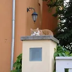 Refugium Ueberm Schwansee 3*