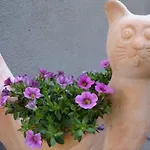 بيت ضيافة Refugium Ueberm Schwansee فايمر