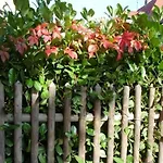 Refugium Ueberm Schwansee بيت ضيافة