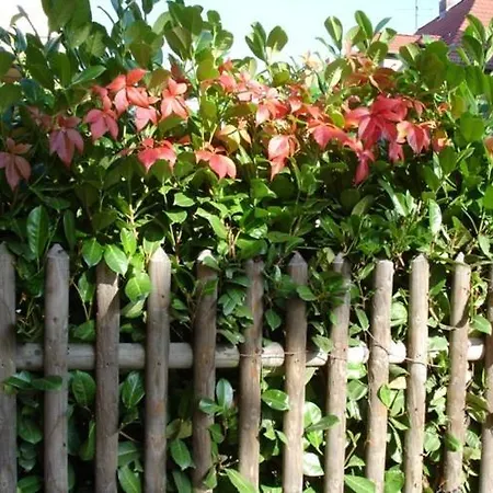 Refugium Ueberm Schwansee