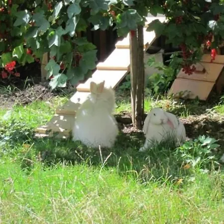 Refugium Ueberm Schwansee 게스트하우스