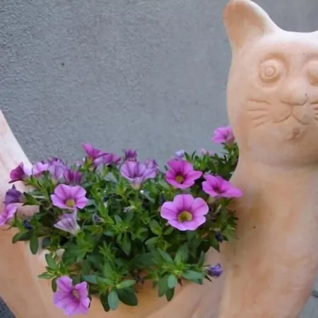 Pensjonat Refugium Ueberm Schwansee Weimar (Thuringia)