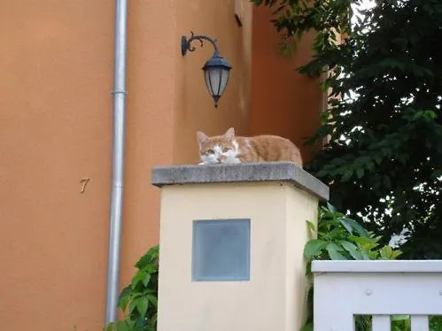 게스트하우스 Refugium Ueberm Schwansee