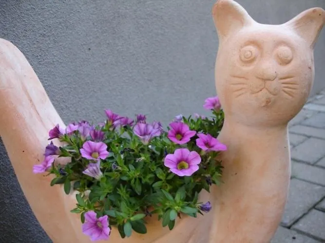 Refugium überm Schwansee Weimar (Thuringia)