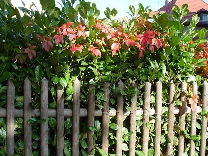 Refugium überm Schwansee