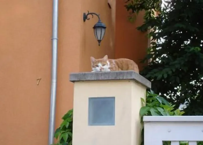 Refugium überm Schwansee 3*