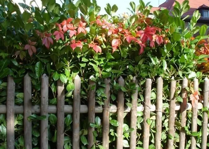 Refugium Ueberm Schwansee 게스트하우스